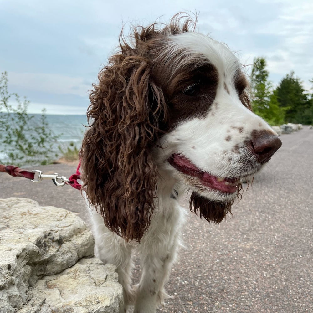 Meet your Posher, Julie